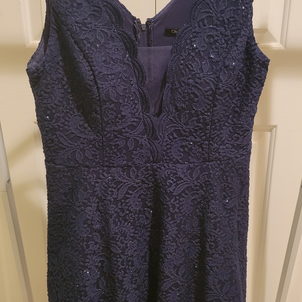Chic Navy Lace Mini Dress